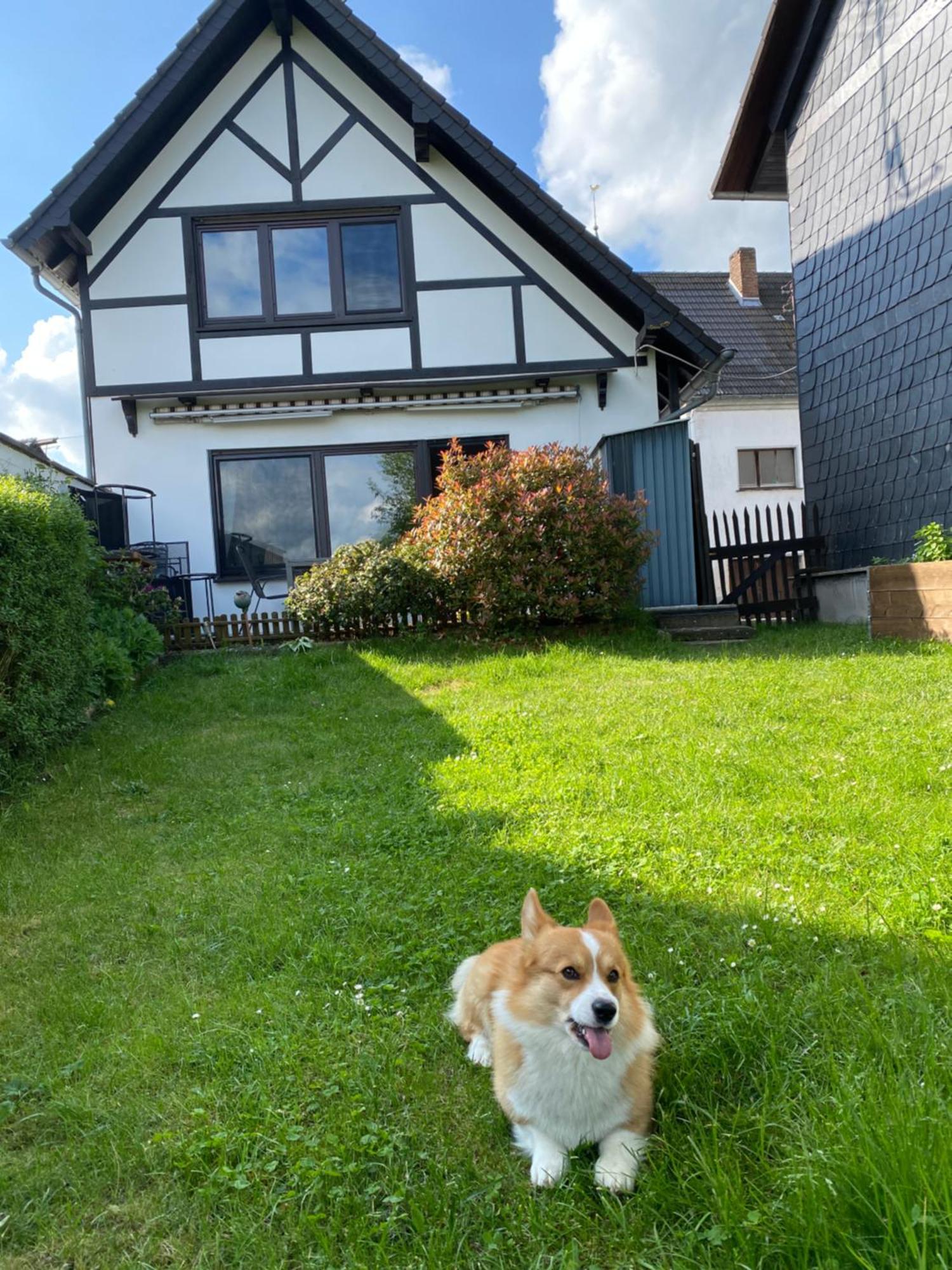 Eifel Ferienhaus Luna Ohlenhard Екстер'єр фото