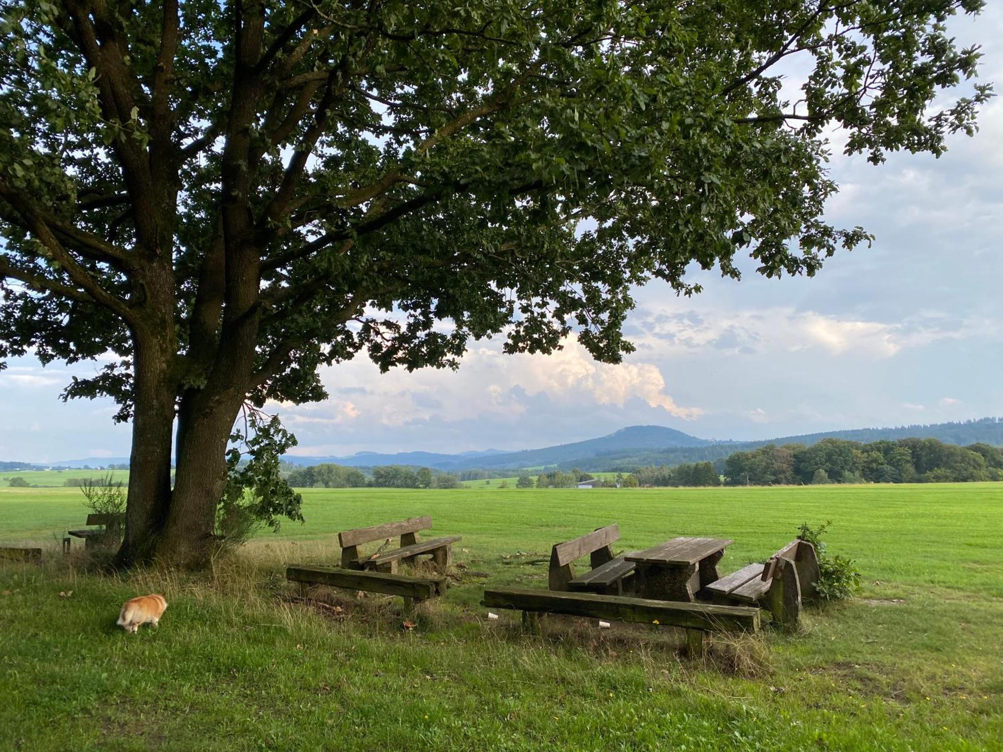 Eifel Ferienhaus Luna Ohlenhard Екстер'єр фото