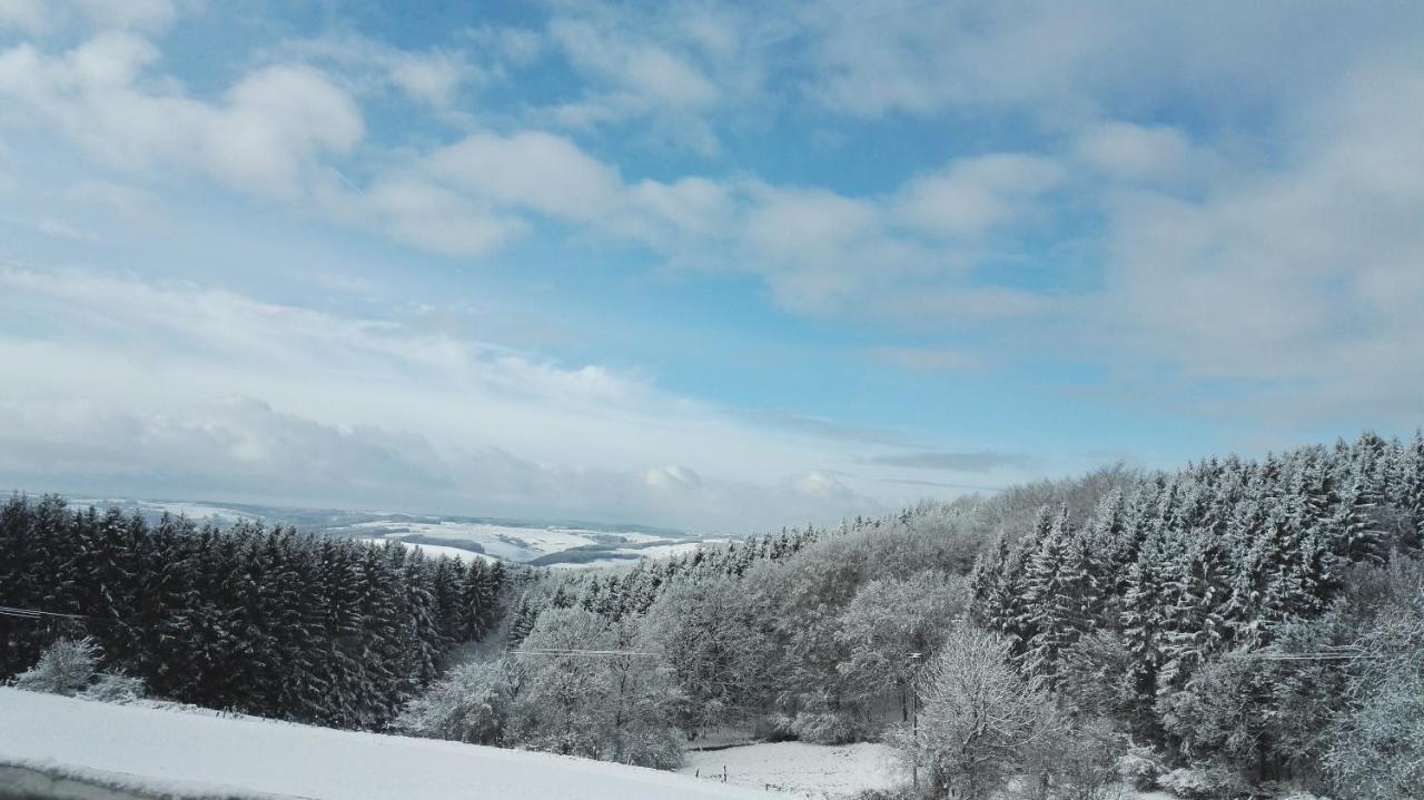 Eifel Ferienhaus Luna Ohlenhard Екстер'єр фото